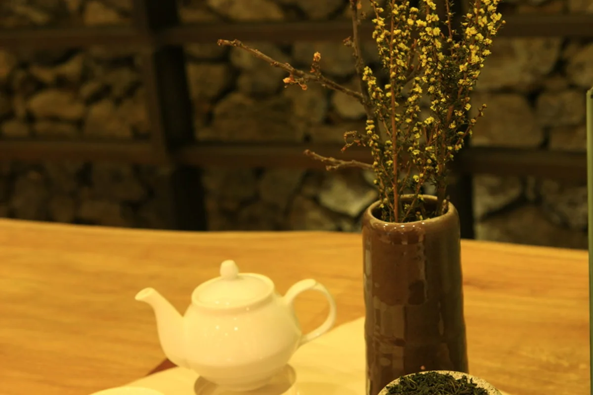 오설록 티 뮤지엄 - 1월 제주도 여행