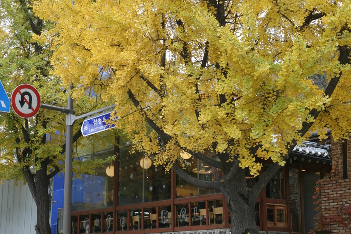 삼청동 가을 가볼만한곳 (출처 : 한국관광공사)