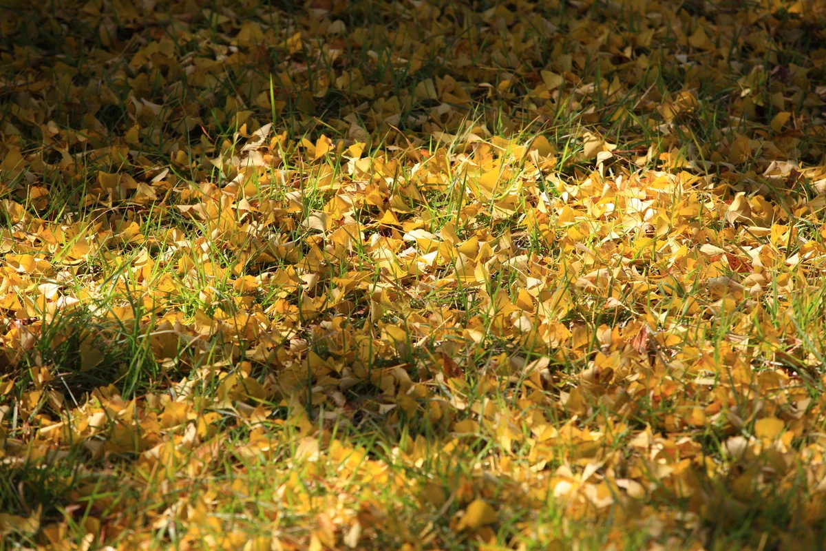 영양 두들마을 - 영양군여행 여행