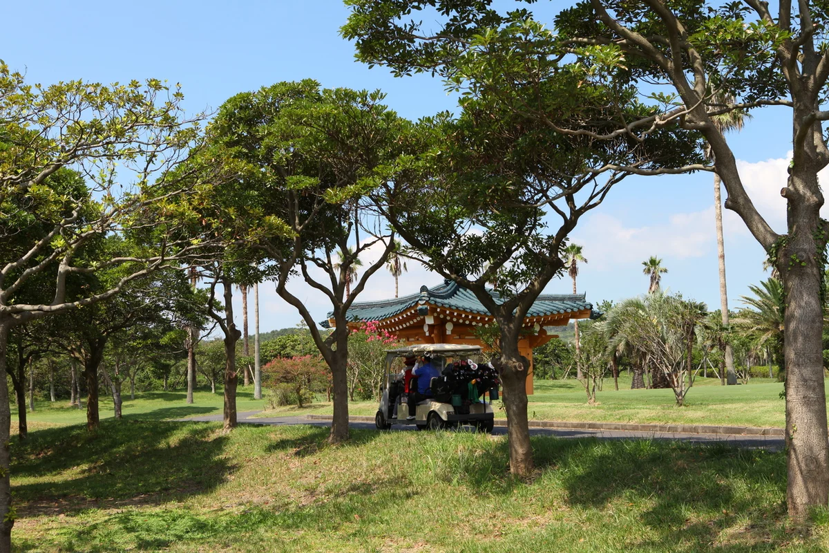 골프존파크 목동 갤러리: 목동 골프장의 새로운 기준 - 목동골프 여행