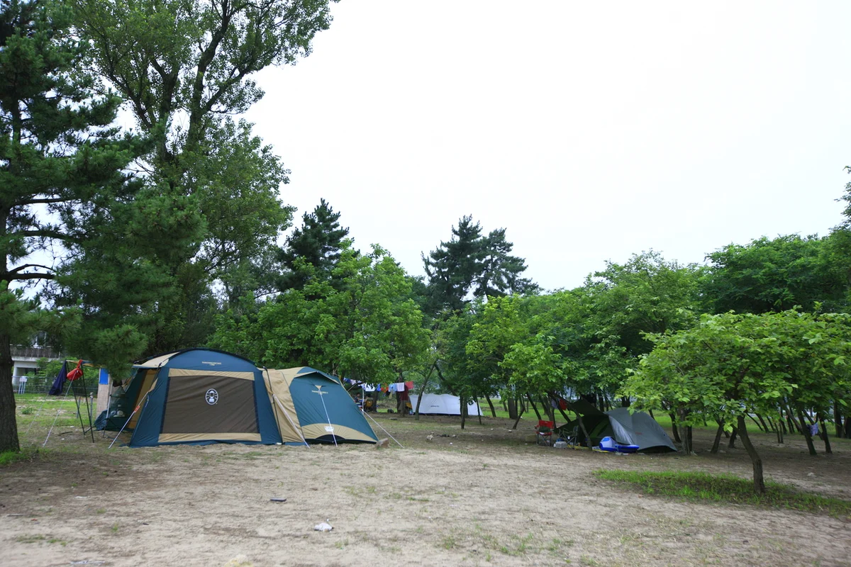 화진포해수욕장 - 고성군 캠핑 여행