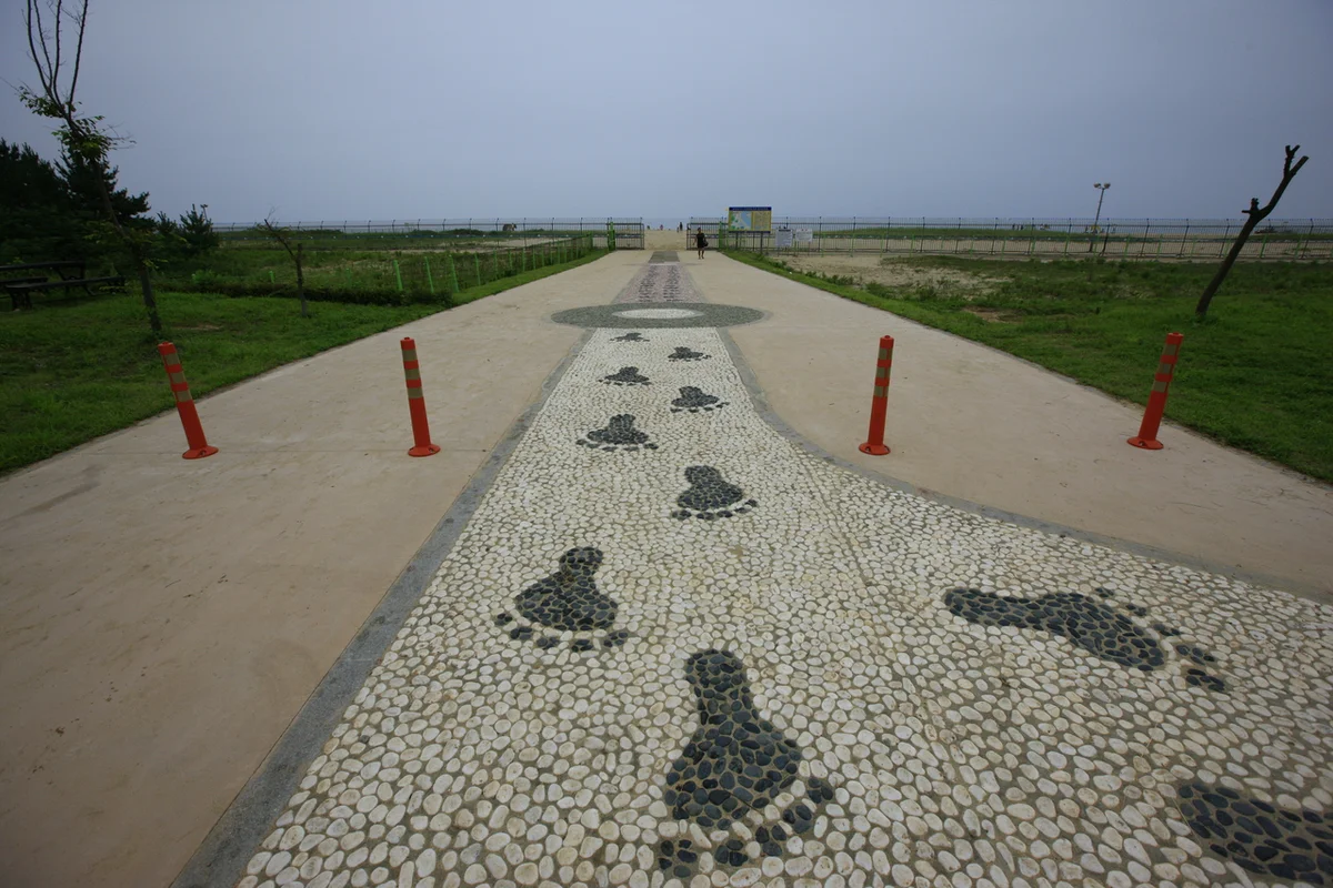송지호 오토캠핑장 - 고성군 캠핑 여행