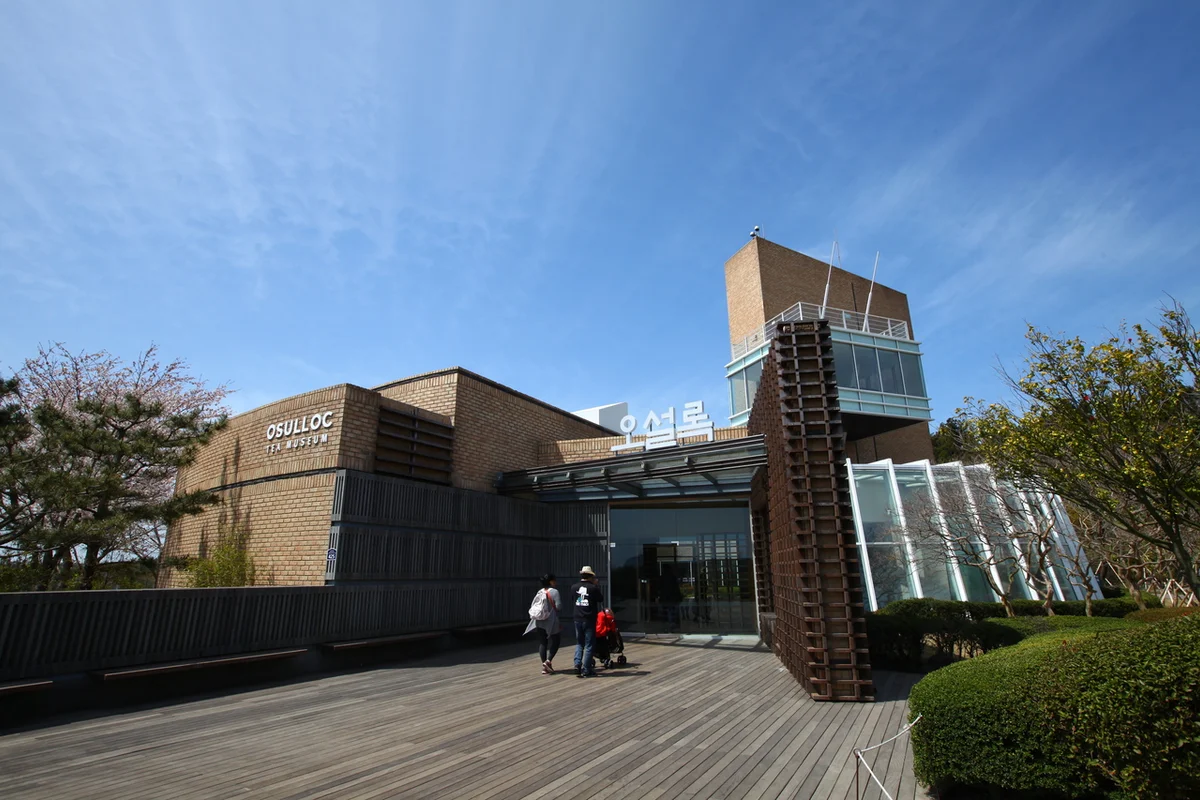 오설록 티뮤지엄 - 대정풀빌라 여행