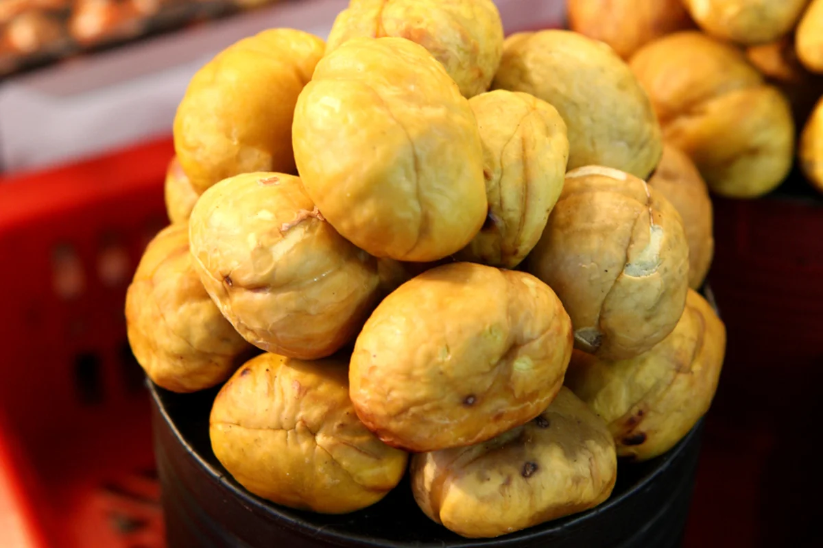 쌈지길 - 인사동 여행