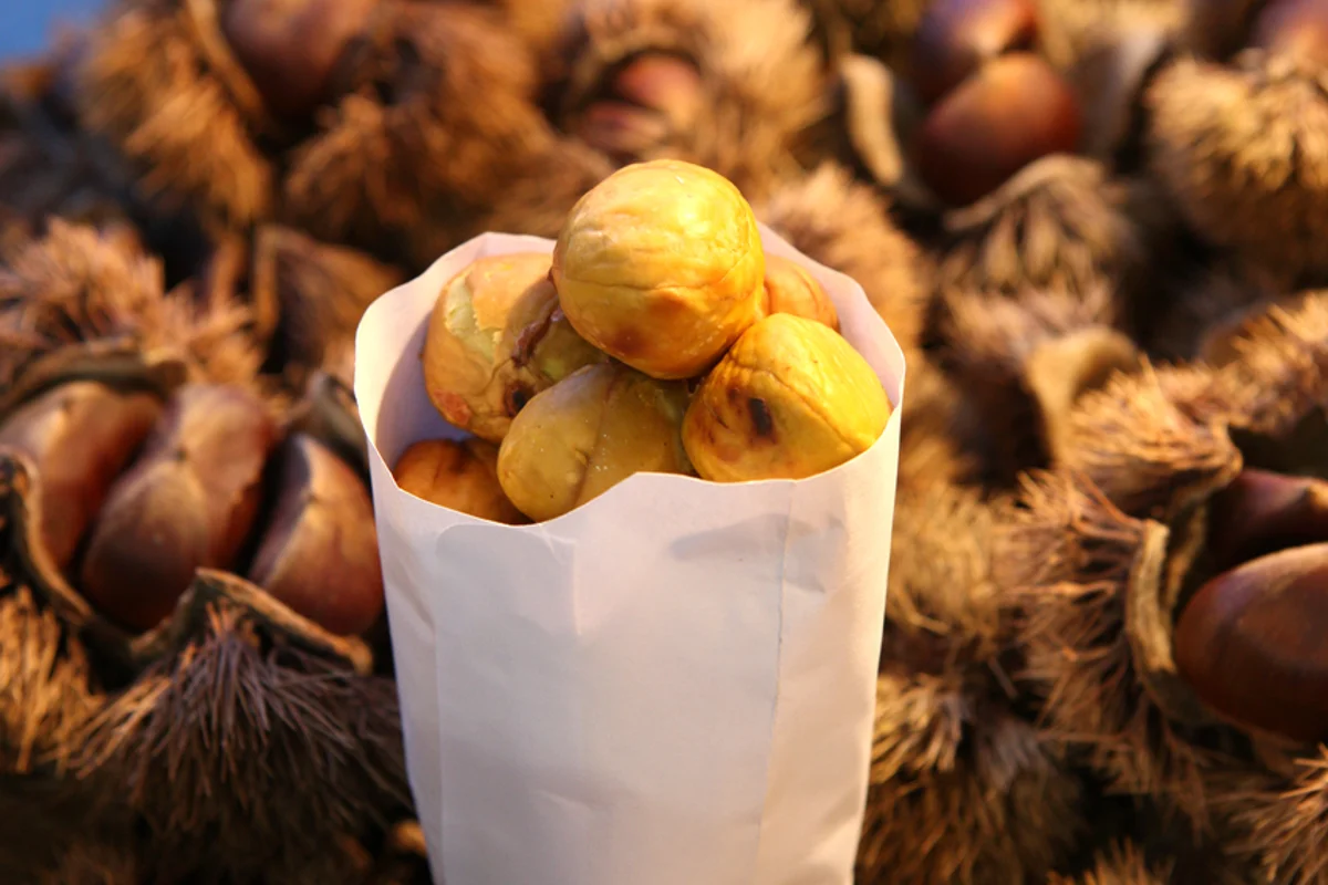 뮤지엄김치간 - 인사동 여행