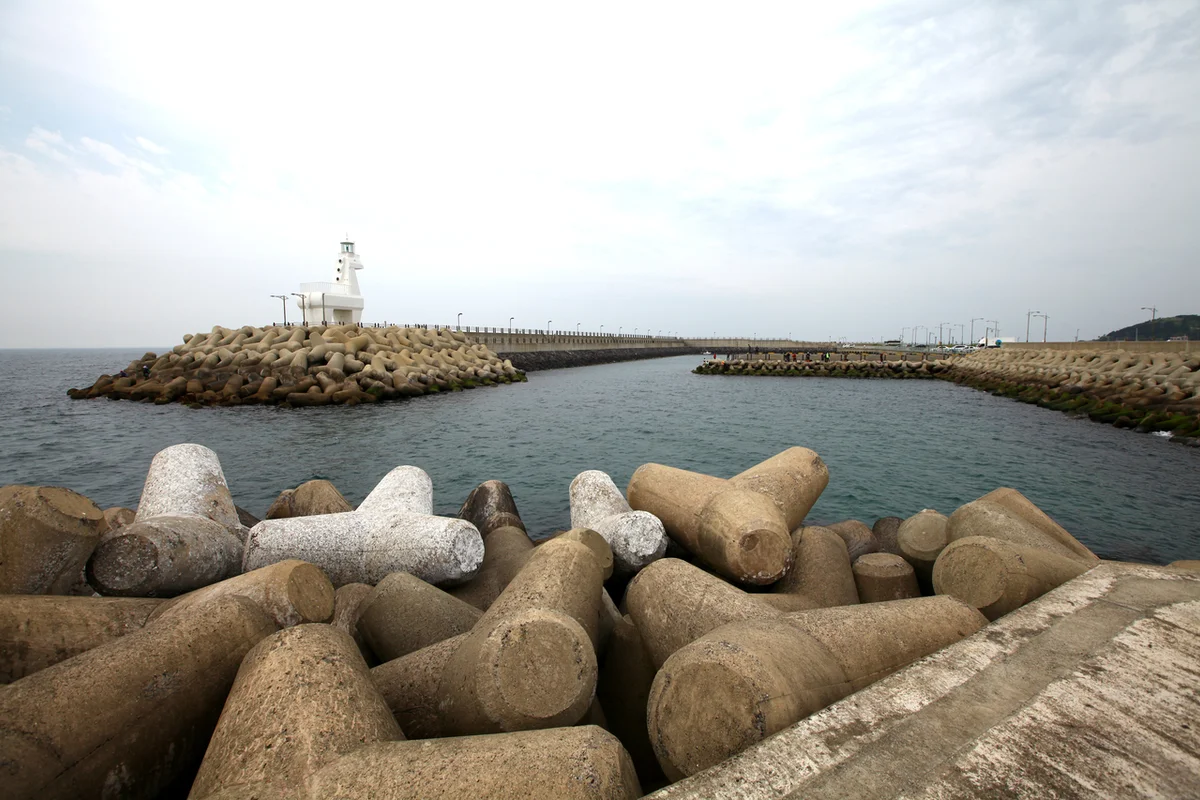 이호테우 근교여행의 대표 명소: 이호테우해변 - 제주여행 여행