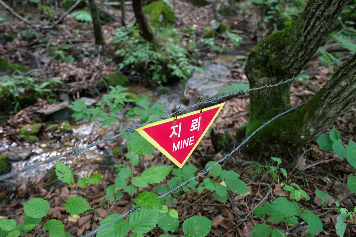 두타연 - 양구군 여행