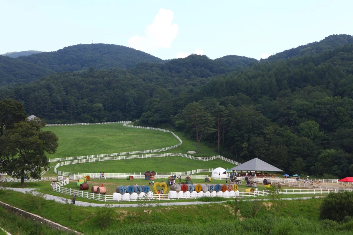 대관령 하늘목장 - 대관령여행 여행