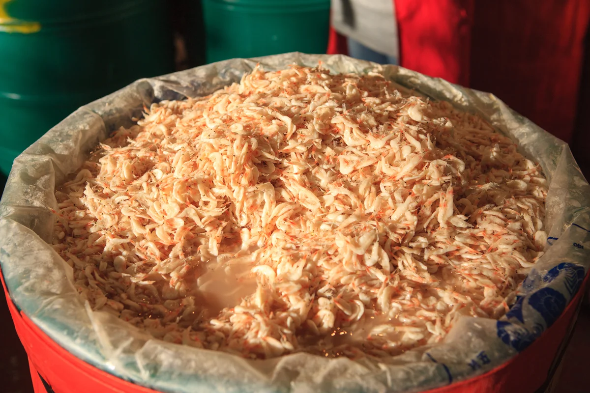 용봉산 - 홍성 여행