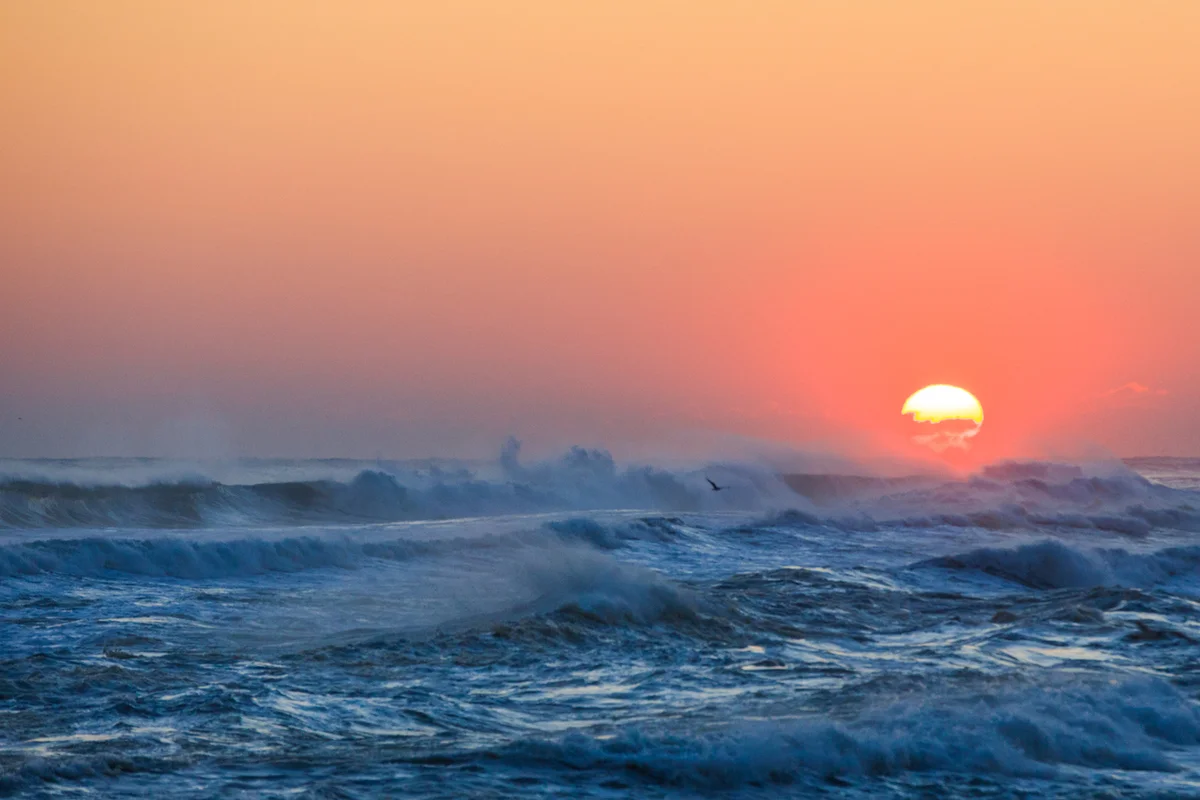경포아쿠아리움 - 강릉여행 여행