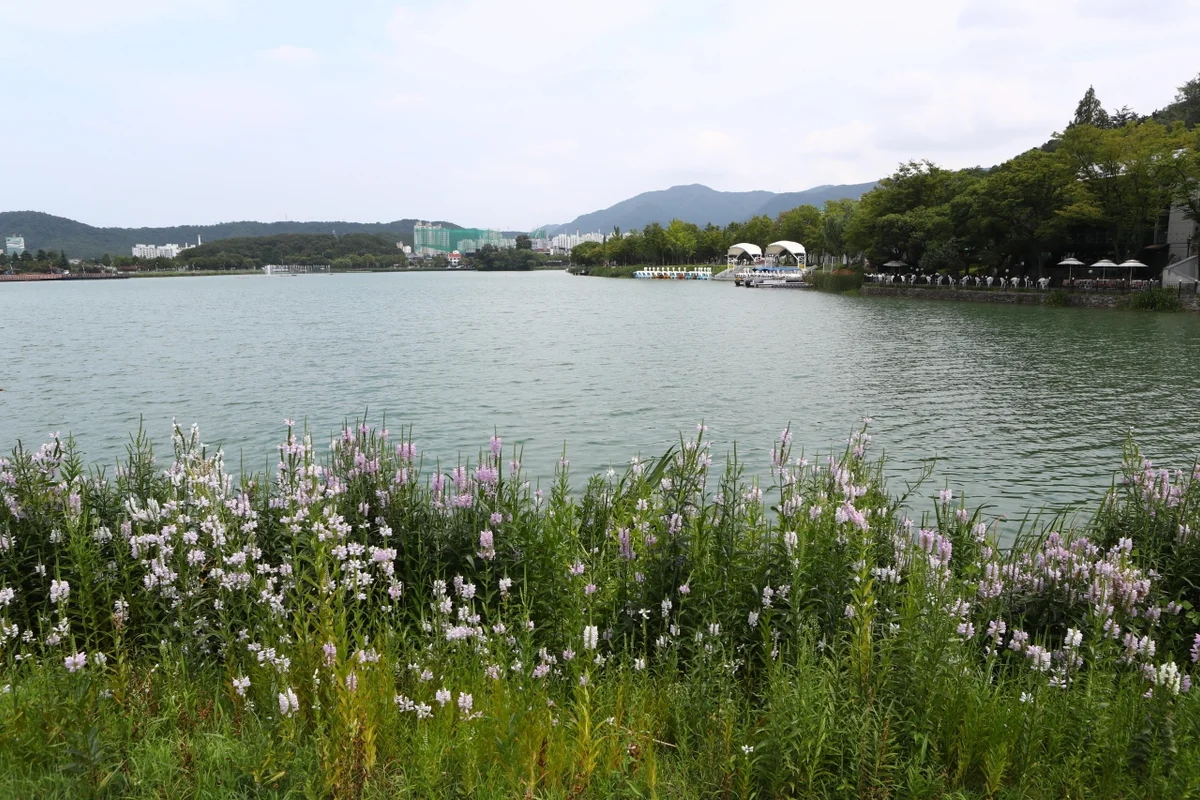 수성유원지 - 수성못 여행