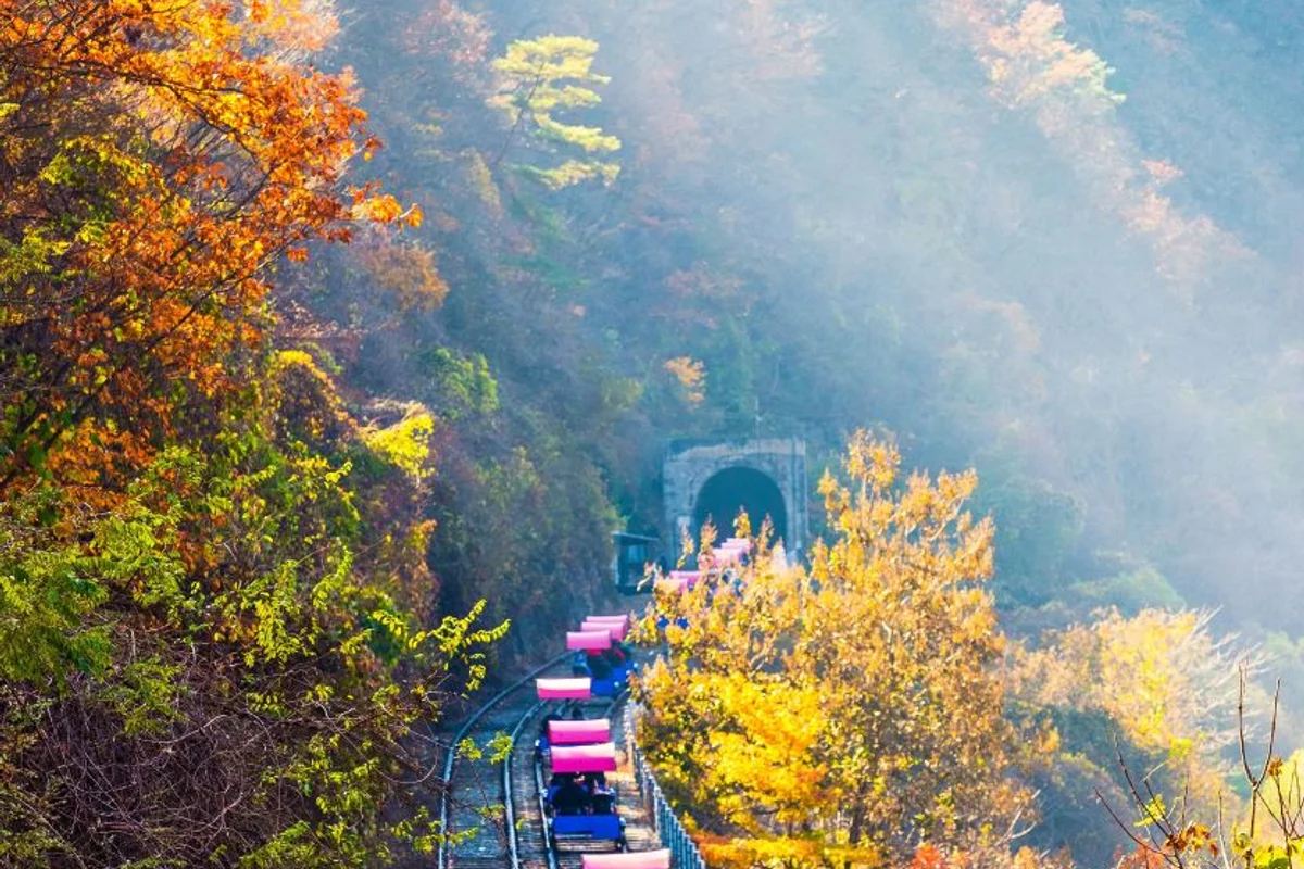 레일바이크 동물원 (출처 : 한국관광공사)