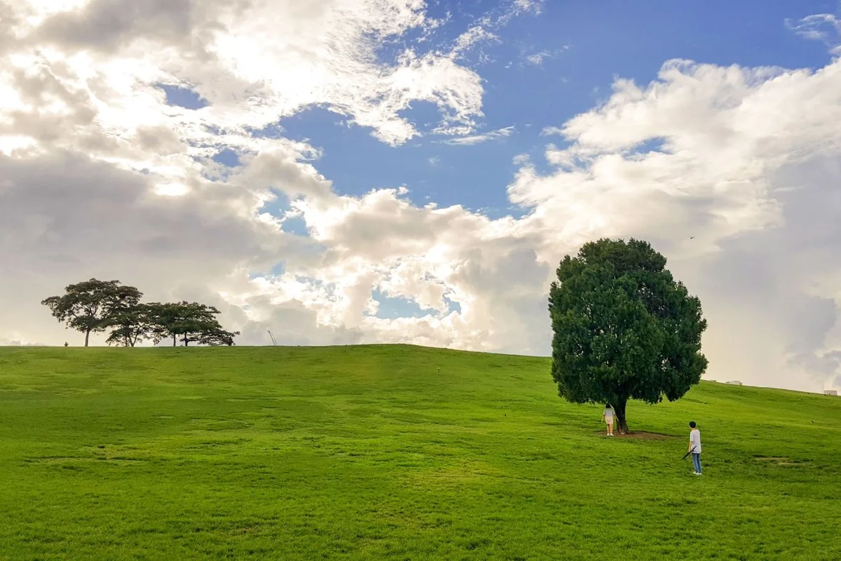 올림픽공원: 가장 현명한 가는법 - 올림픽공원 여행