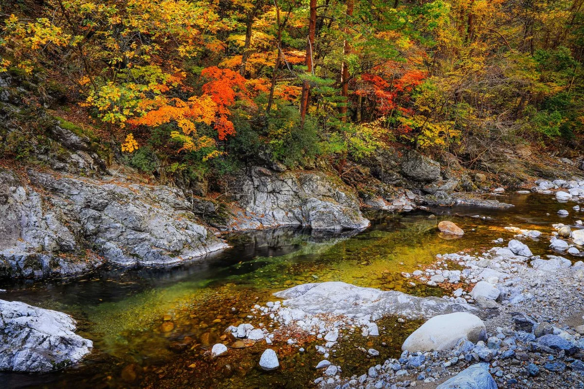 미천골자연휴양림 - 양양 여행