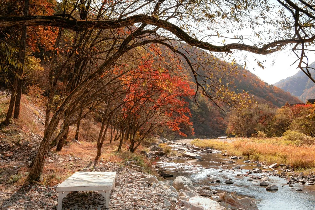 한반도지형 - 영월여행 여행