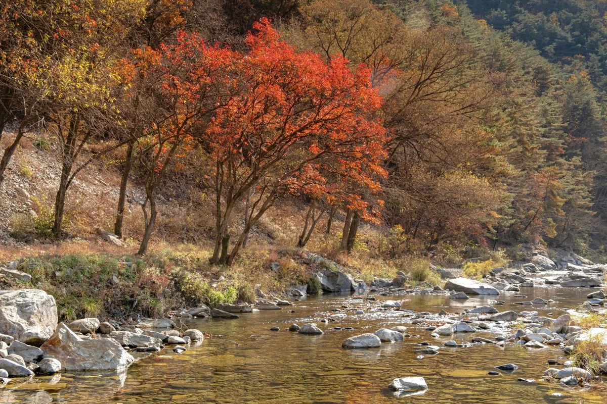 별마로천문대 - 영월여행 여행