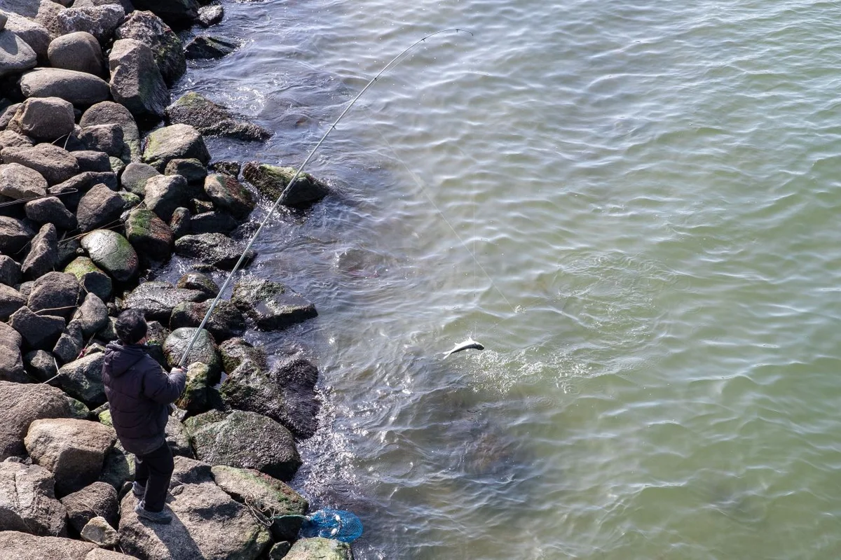 강릉 낚시 (출처 : 한국관광공사)