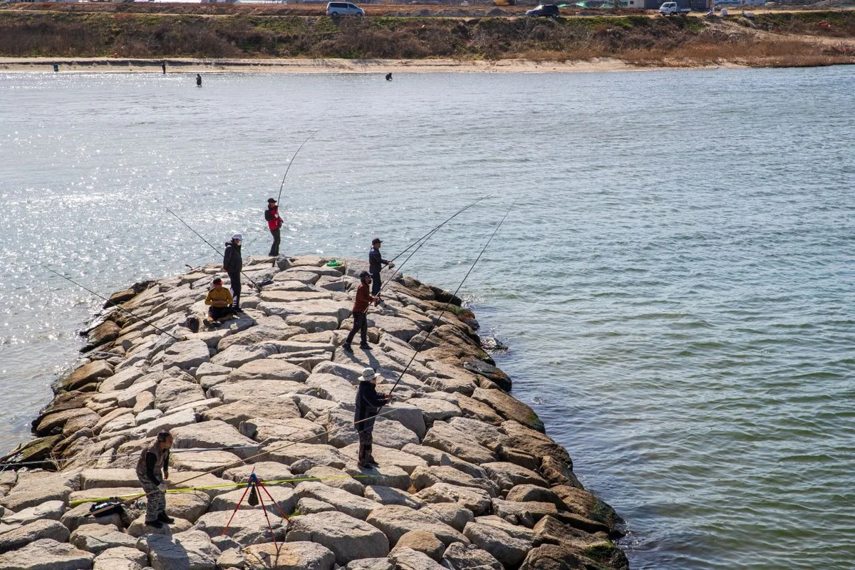 주문진항 - 강릉 여행