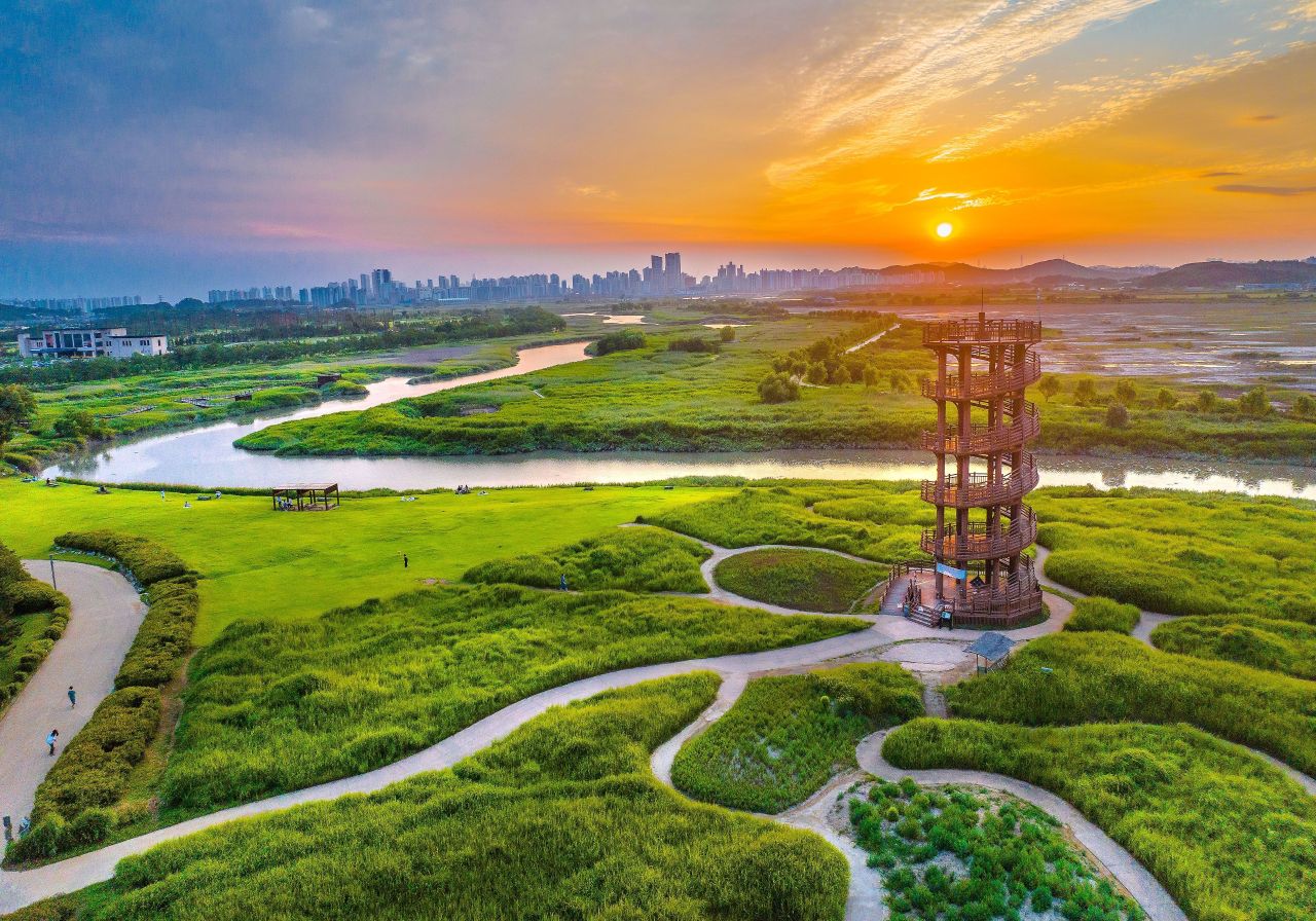 시흥 연꽃 테마파크 (출처 : 한국관광공사)