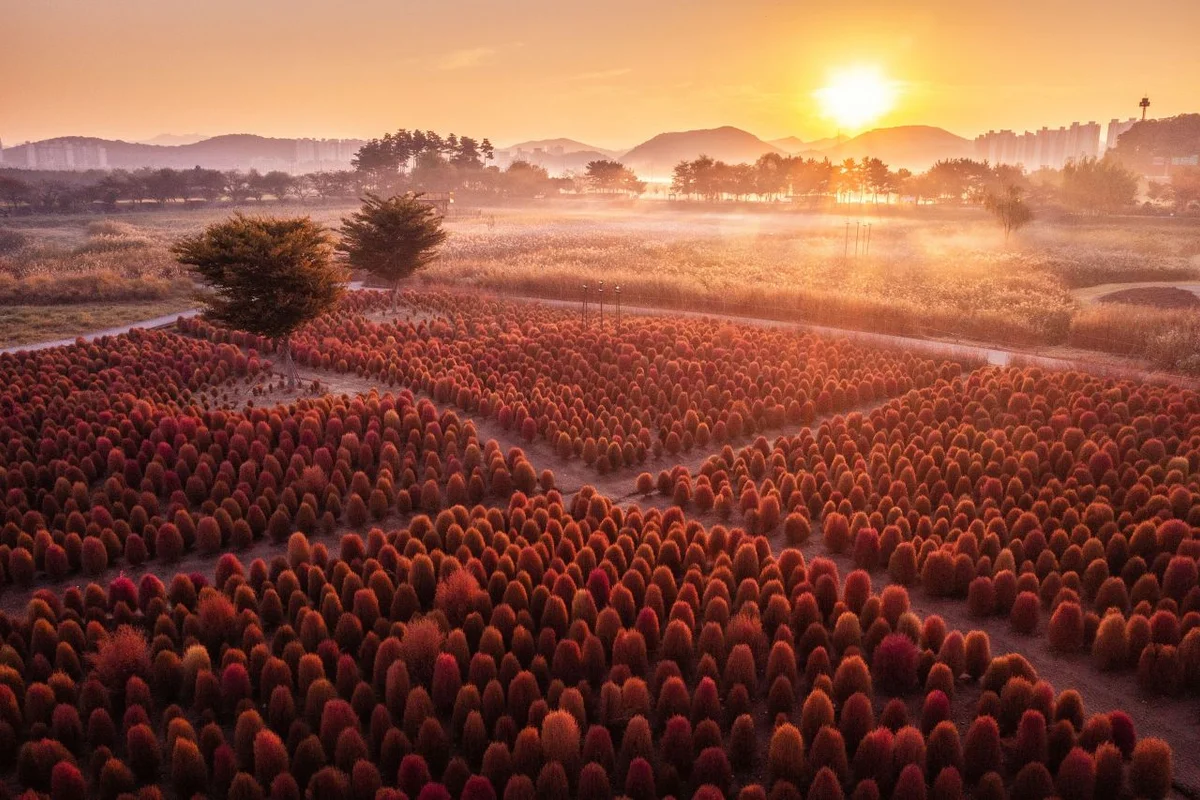 갯골생태공원 - 시흥여행 여행