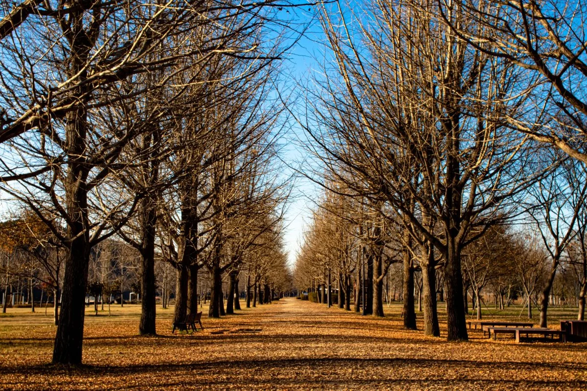 보성 율포 해수녹차센터: 1월 광주 겨울 온천 여행의 시작 - 광주여행 여행