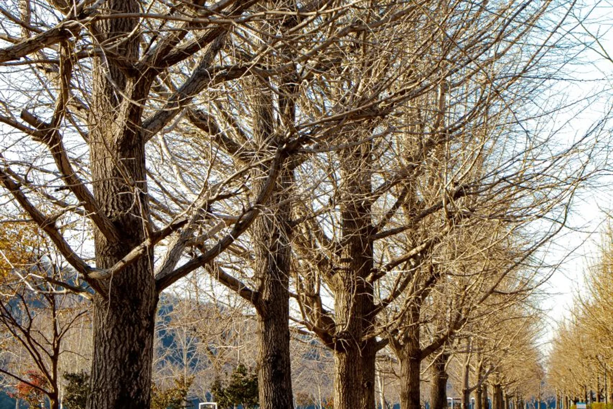 담양리조트온천 - 광주여행 여행