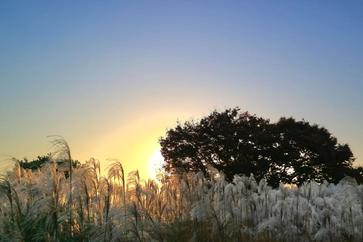 탑동시민농장 - 수원 여행 여행
