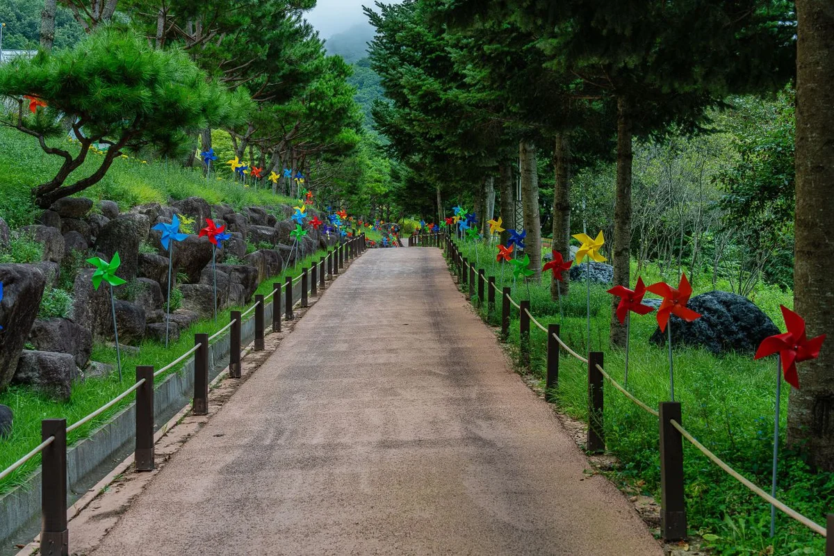 양구군 먹거리: 양구수목원 - 양구군 여행