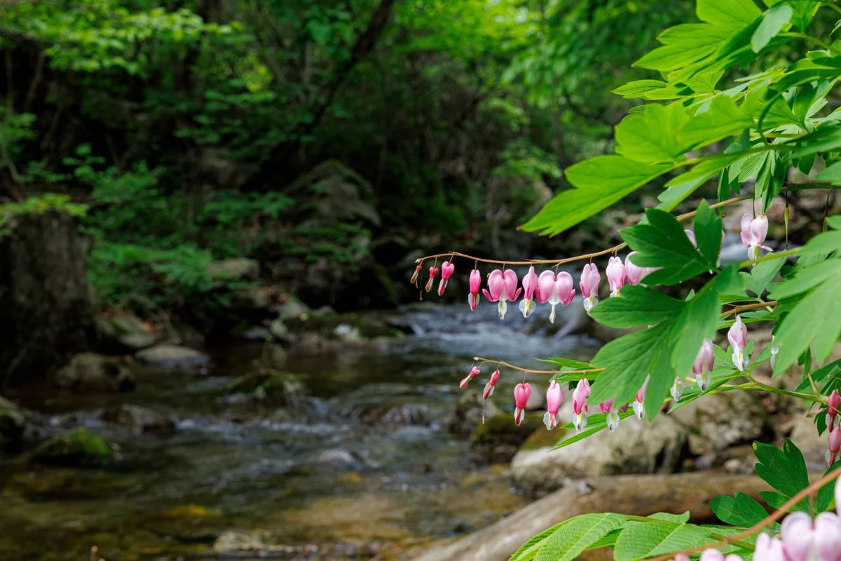 양구군 오션뷰 숙소 (출처 : 한국관광공사)