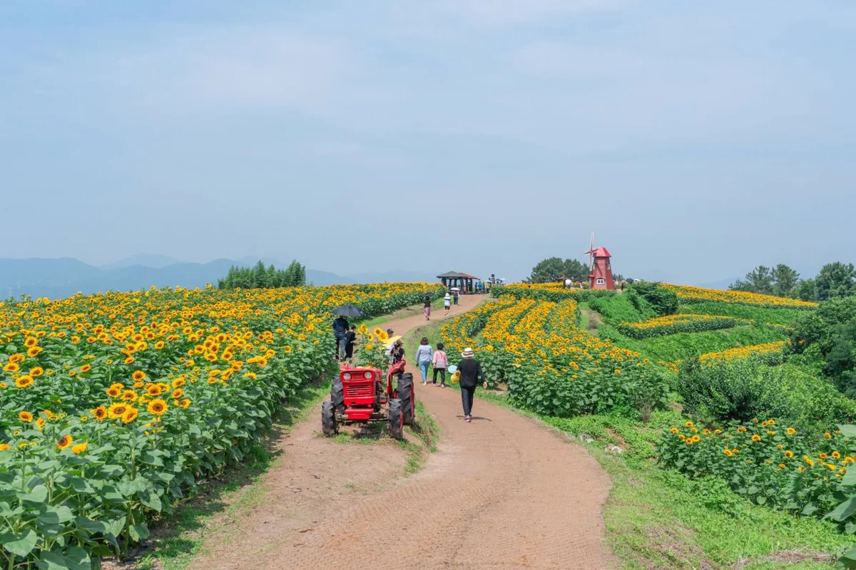 함안군 단체 여행을 위한 에디터스 픽 - 함안군 여행