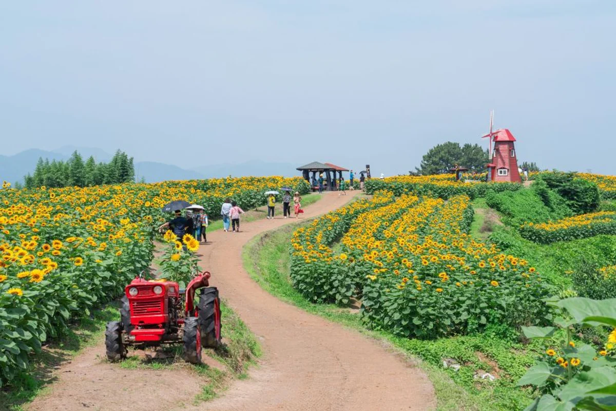 입곡군립공원 - 함안군 여행