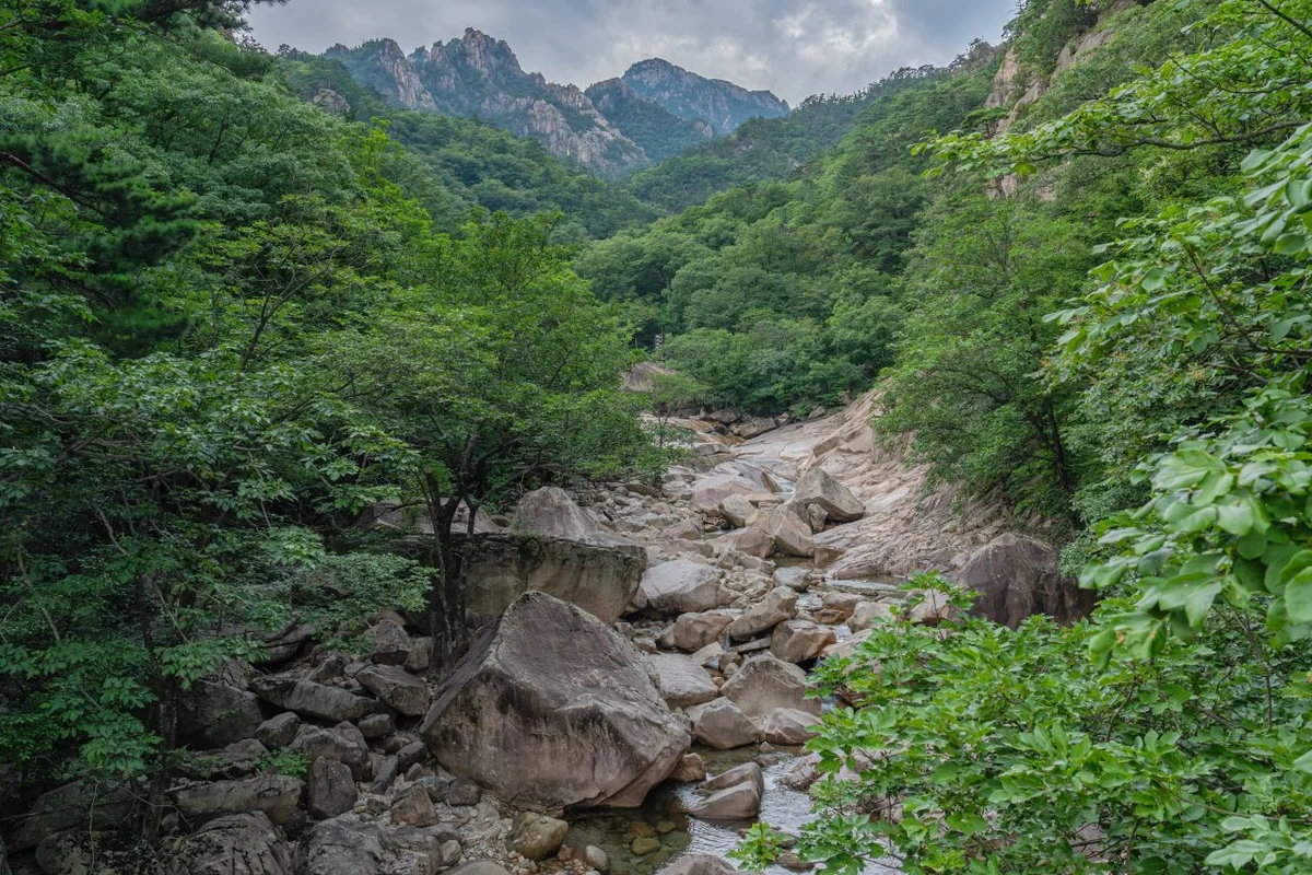 2026년 겨울, 속초시 친구와 여행: 완벽한 순간들 - 속초여행 여행