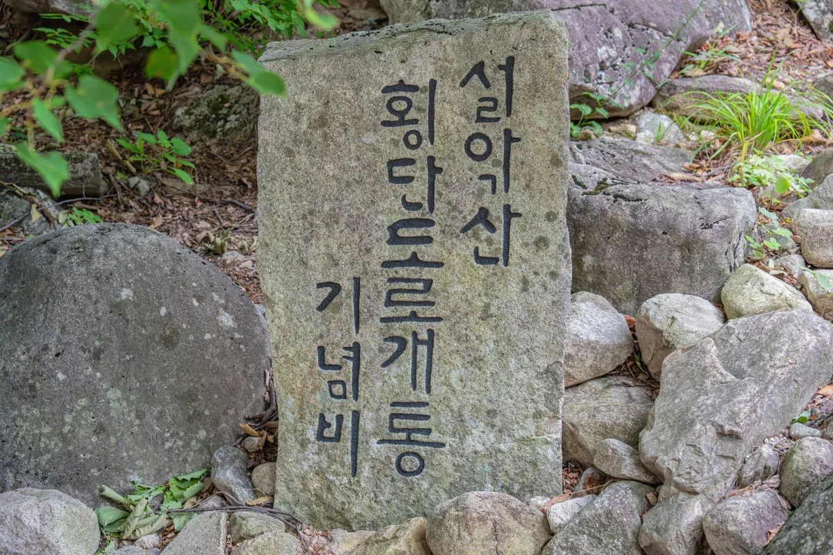 속초관광수산시장 - 속초여행 여행