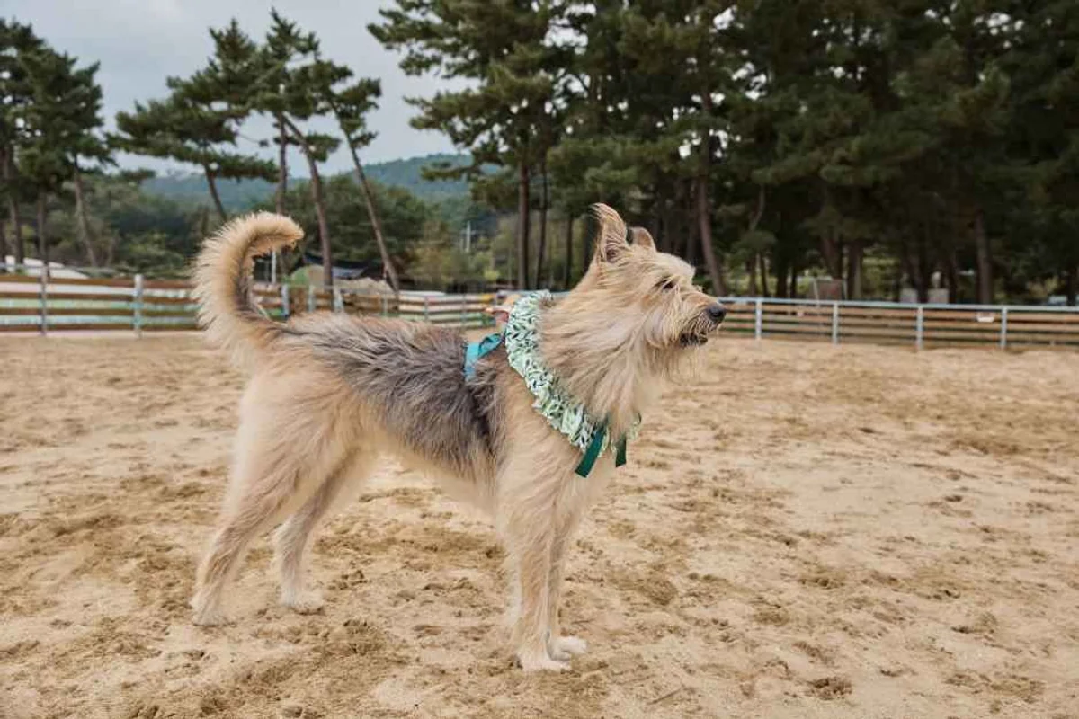 세빛섬 - 서초 여행