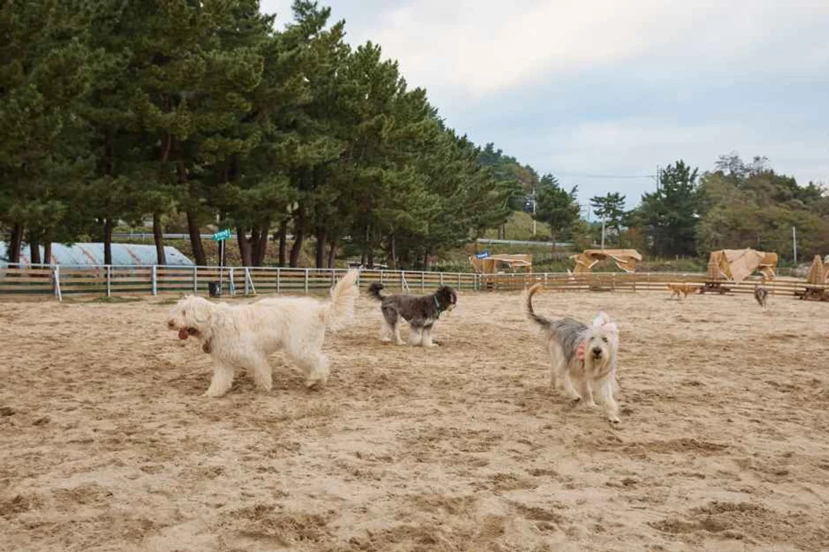서래마을 - 서초 여행