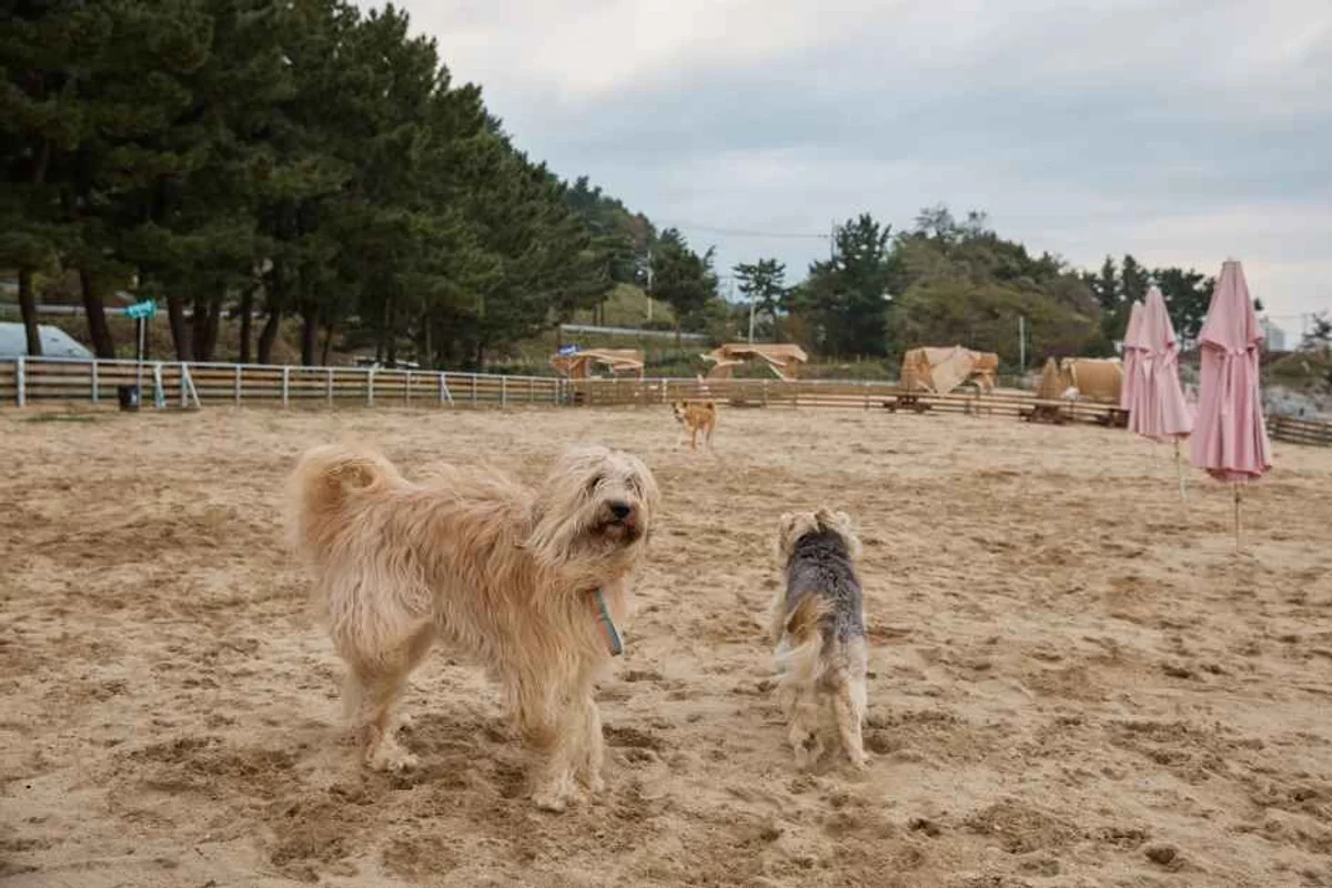 예술의전당 - 서초 여행
