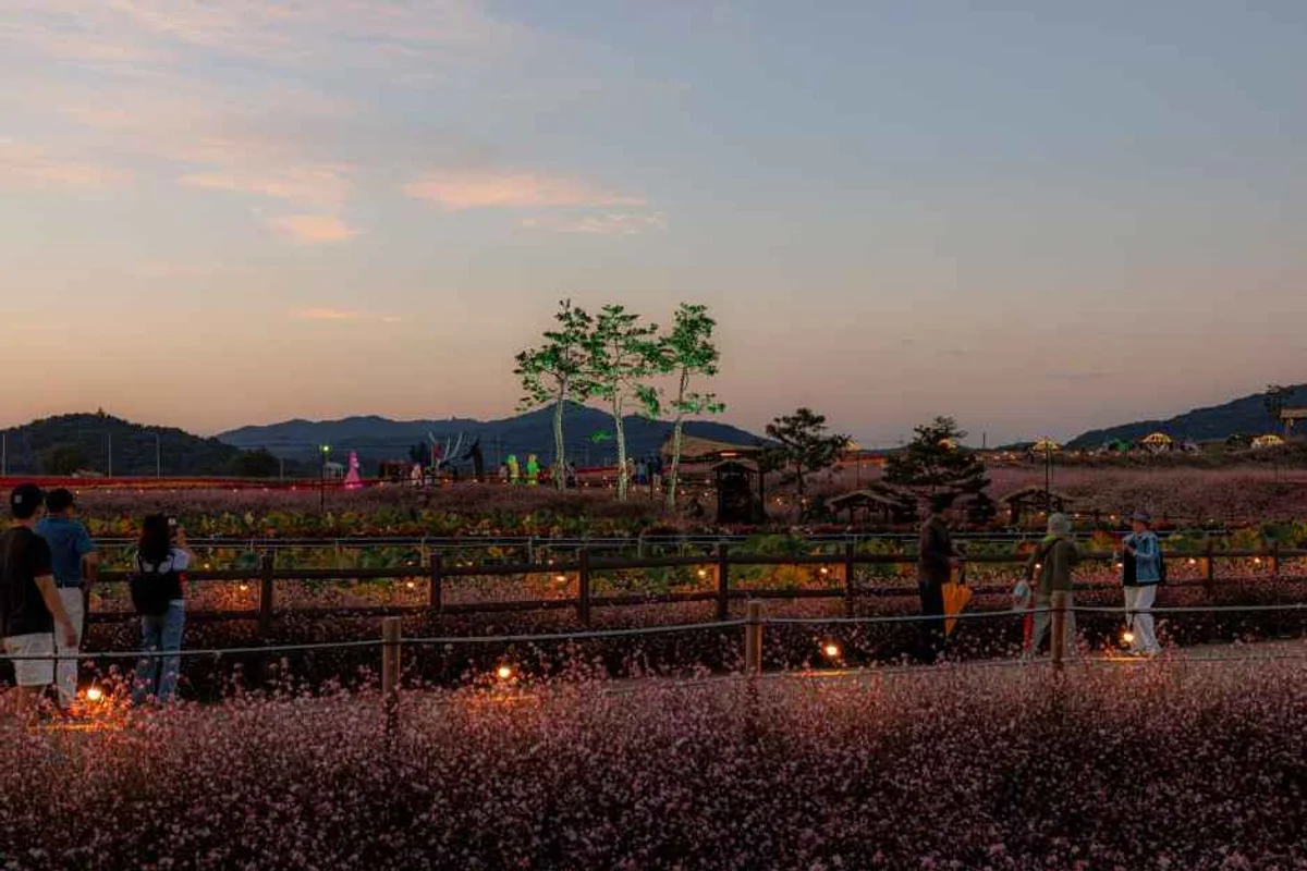 강원 가족 나들이 추천 명소 - 강원도 여행
