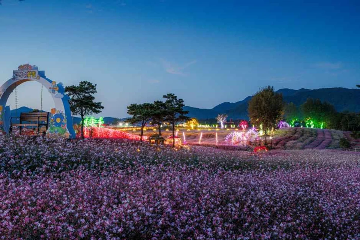 남이섬 - 강원도 여행