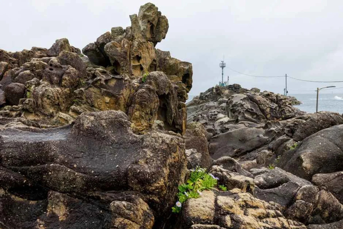 송지호관망타워 - 고성여행 여행