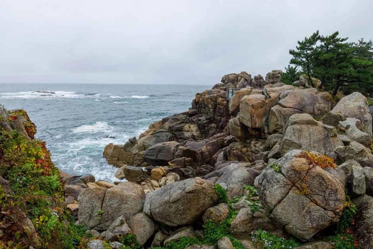 2026년 겨울 동해 인스타 명소, 인생샷 스팟 탐방 - 동해여행 여행