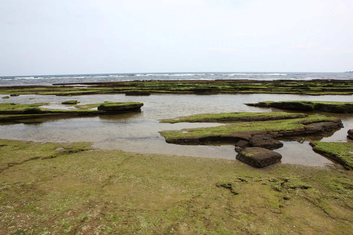 광치기 해변 - 3월제주도 여행