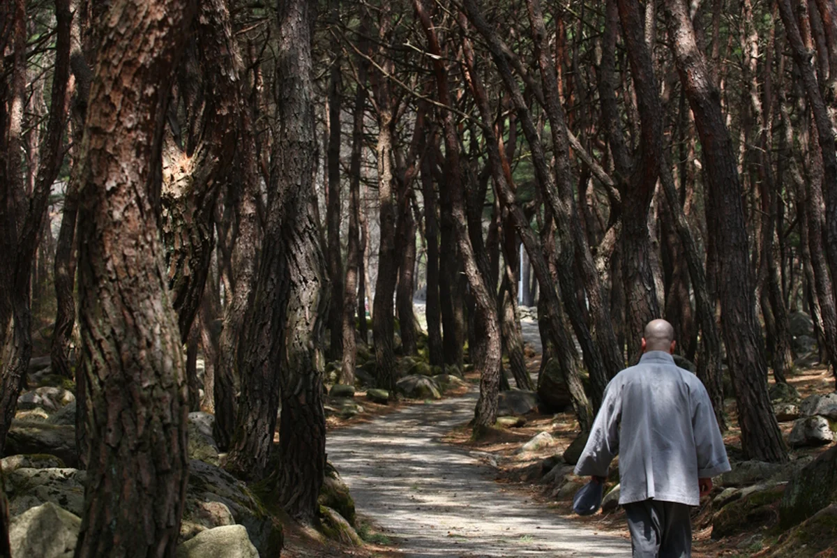 팔공산 캠핑장 (출처 : 한국관광공사)