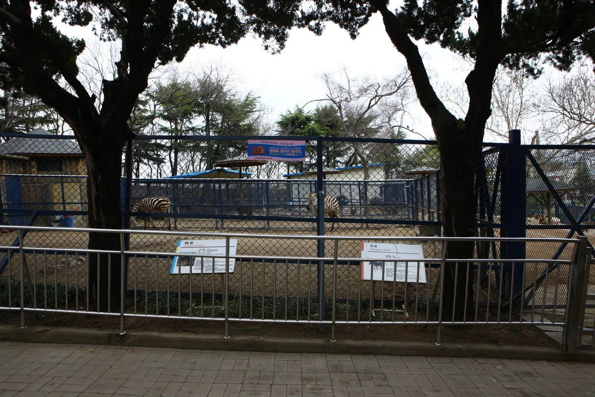 달성공원 - 대구여행 여행