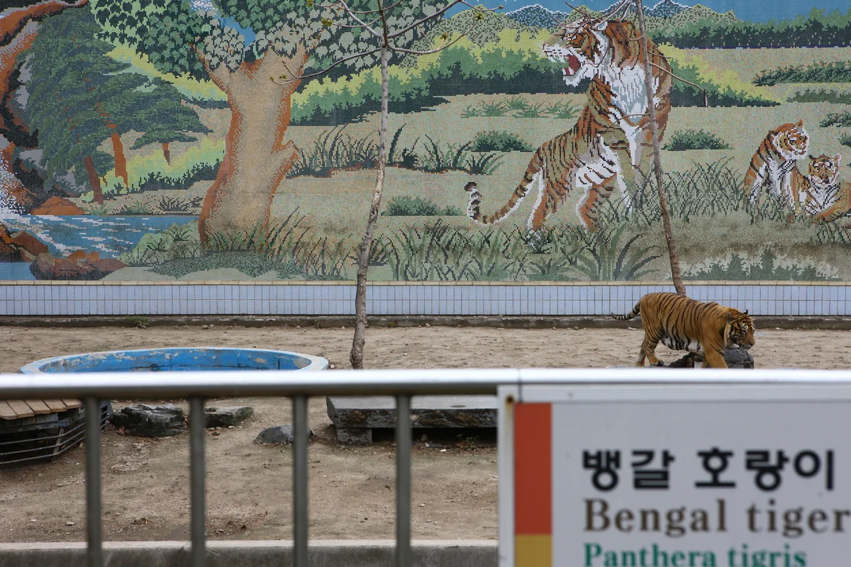 인동촌아나고골목 - 대구여행 여행