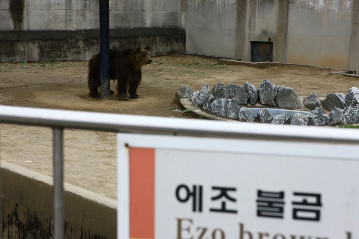 방탄소년단 뷔 벽화거리 - 대구여행 여행