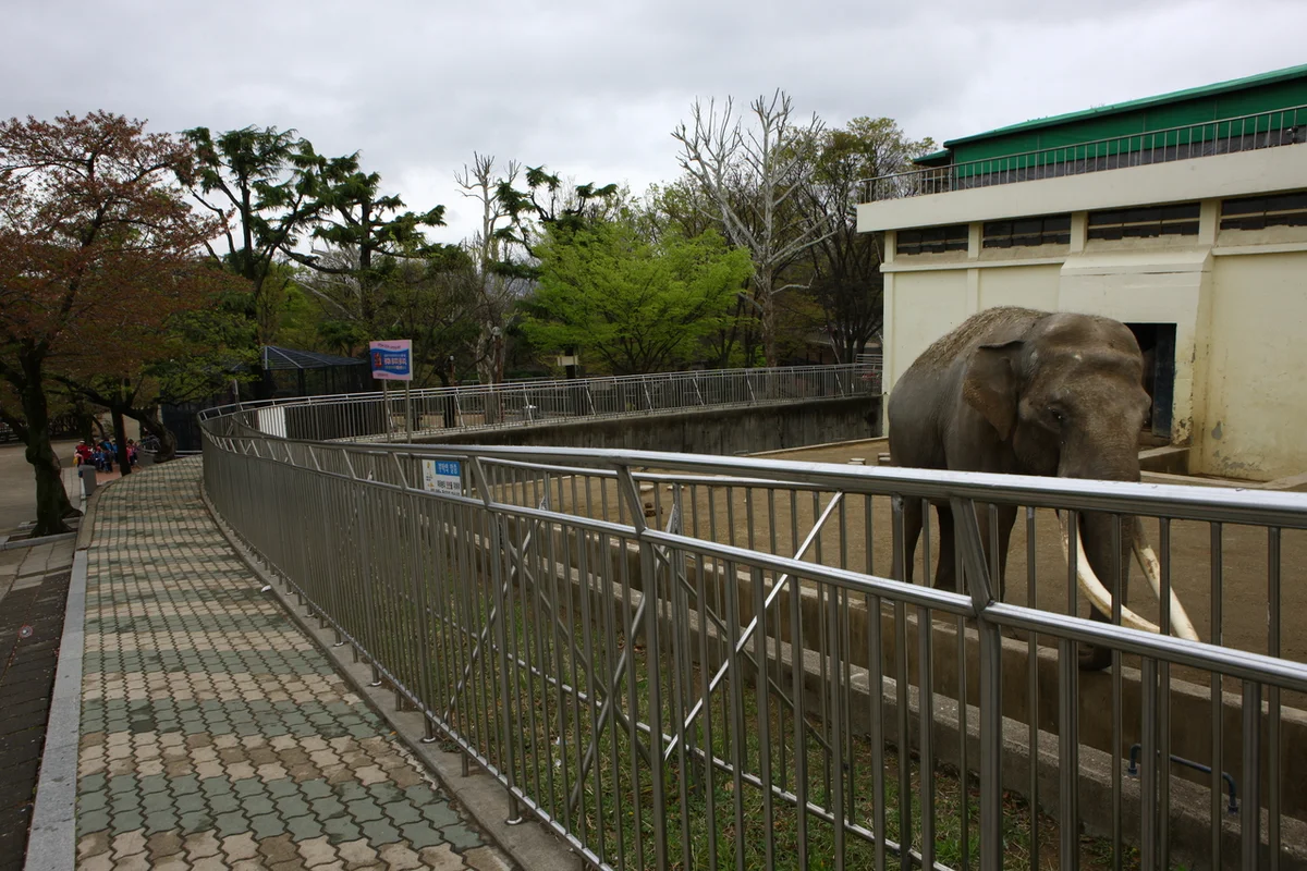 볼더라운지플립 대구점 - 대구여행 여행