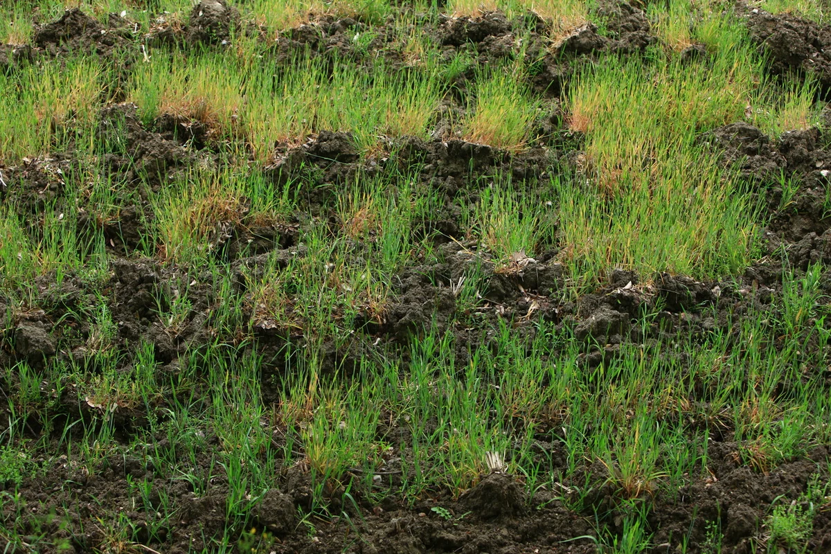 담양 가족여행 (출처 : 한국관광공사)