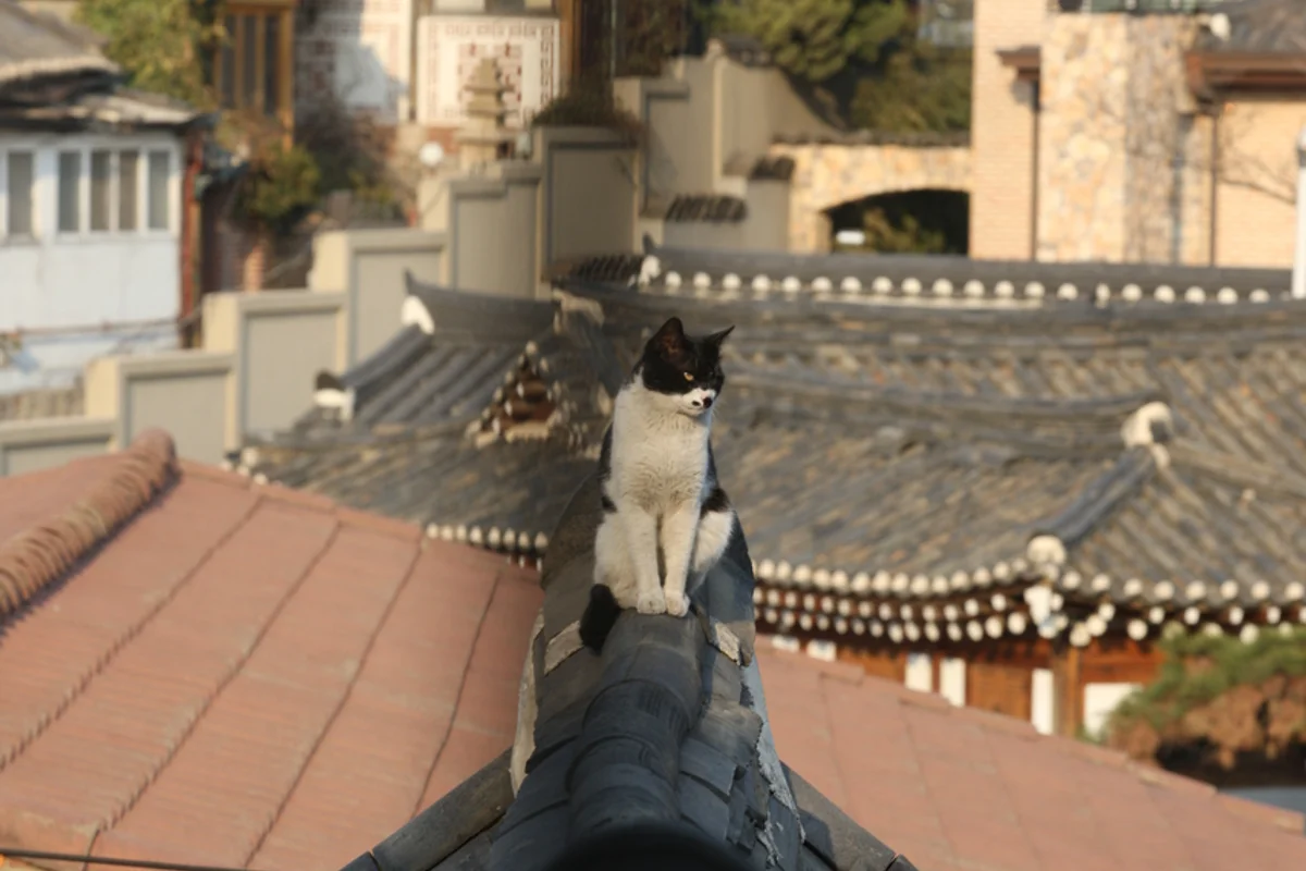 식품명인체험홍보관 - 삼청동 여행