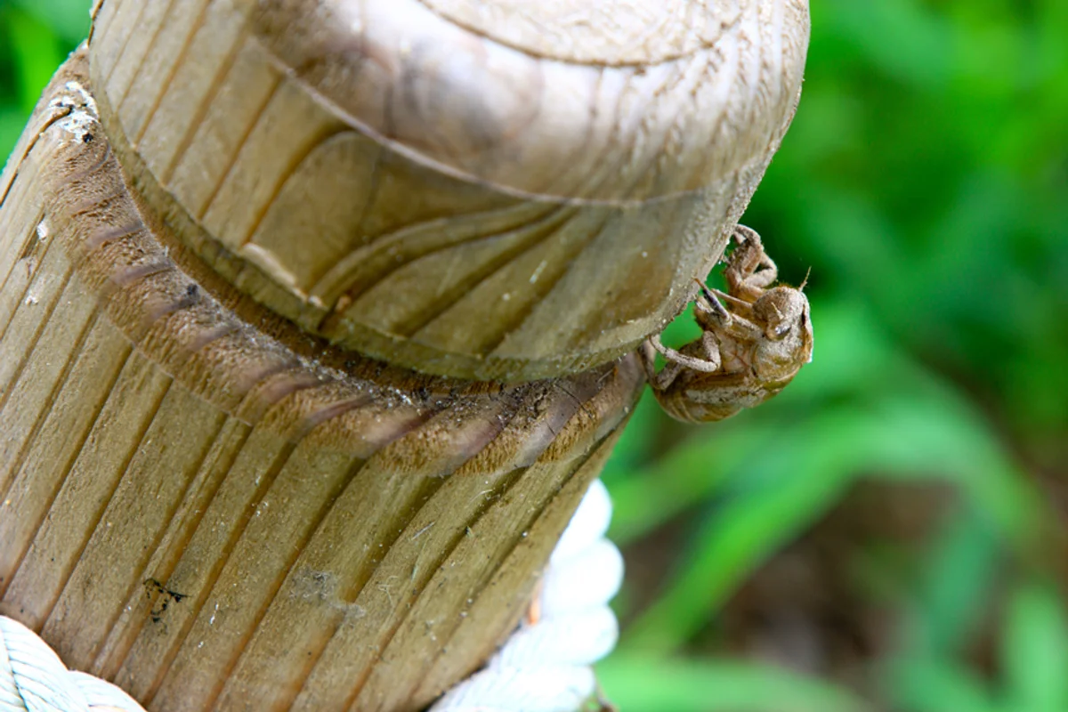 태안군 여행코스 추천, 2026 봄 놓칠 수 없는 서해의 낭만 5곳 - 태안여행 여행
