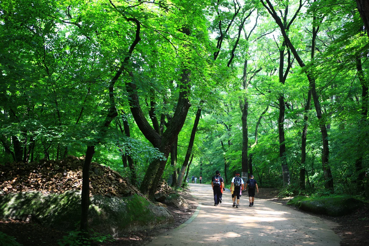 속리산 디저트 카페 (출처 : 한국관광공사)